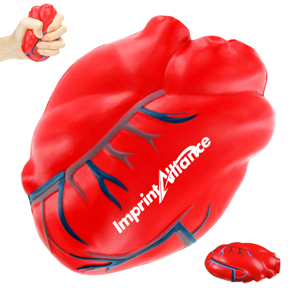 Anatomical Heart PU Foam Stress Reliever Toy